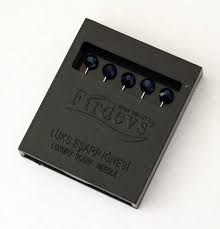 Firdevs Black Pins